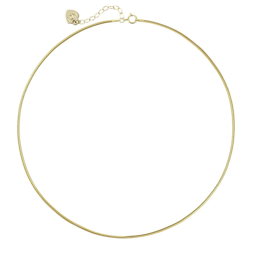 Gold Snake Chain Necklace by Katie Dean Jewelry shown on a white background.